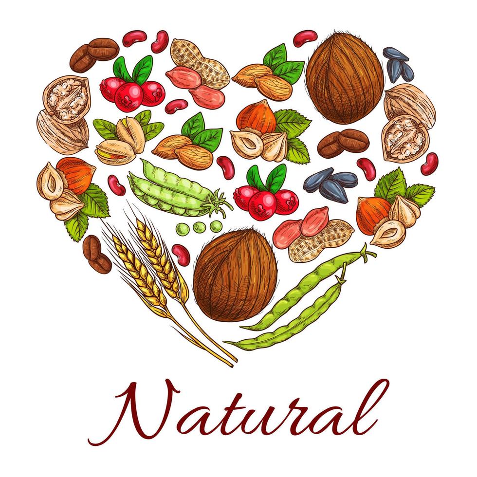 Healthy nuts, grain, berries in heart shape vector