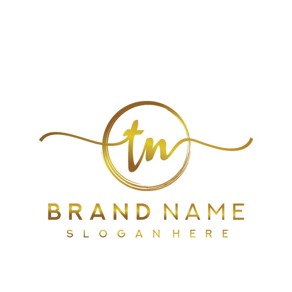 Initial TN handwriting logo with circle hand drawn template vector