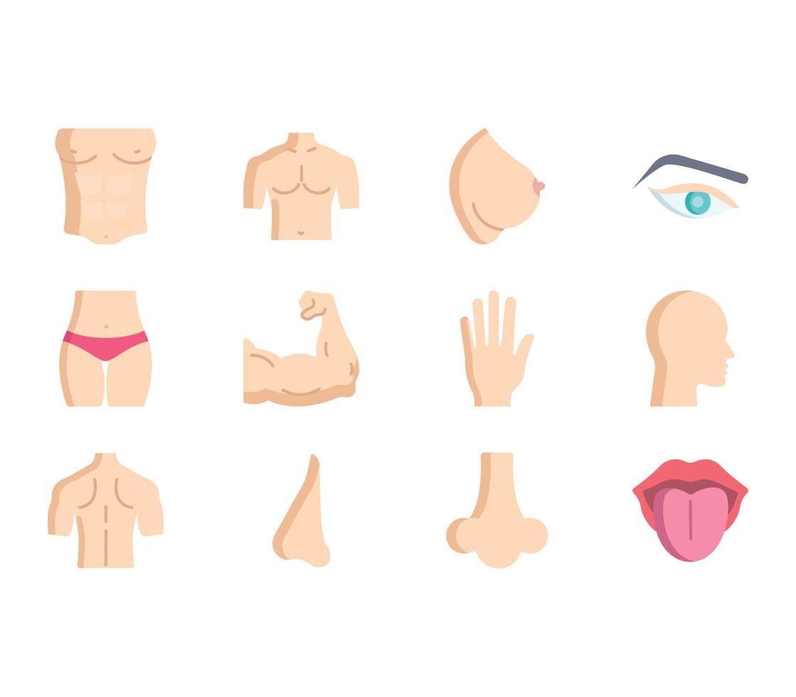 Human Body Parts illustration set vector