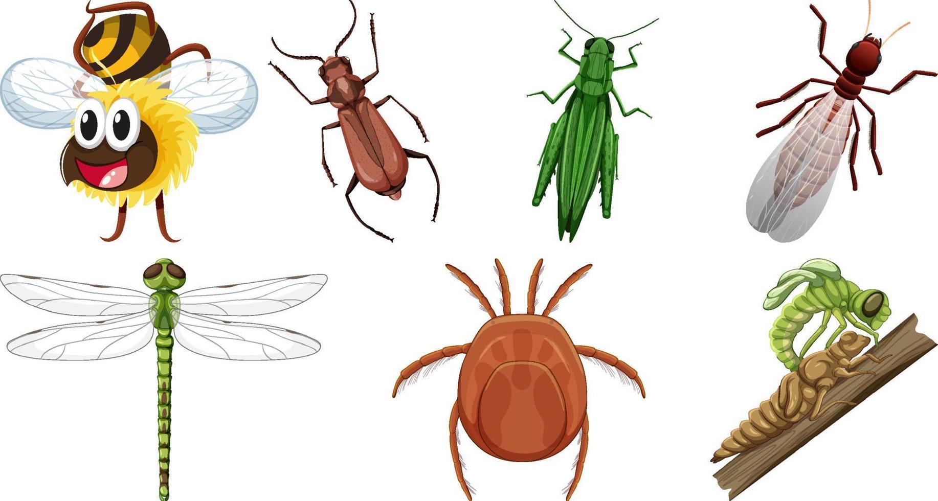Set of different kinds of insects vector