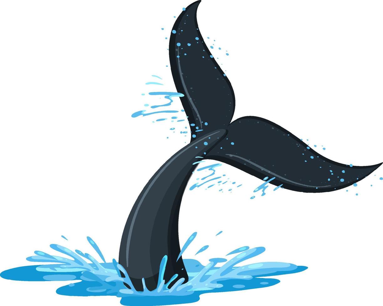 Tail of whale in the water vector