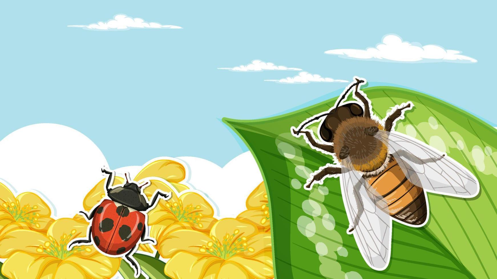 diseño en miniatura con abeja en la hoja y mariquita vector