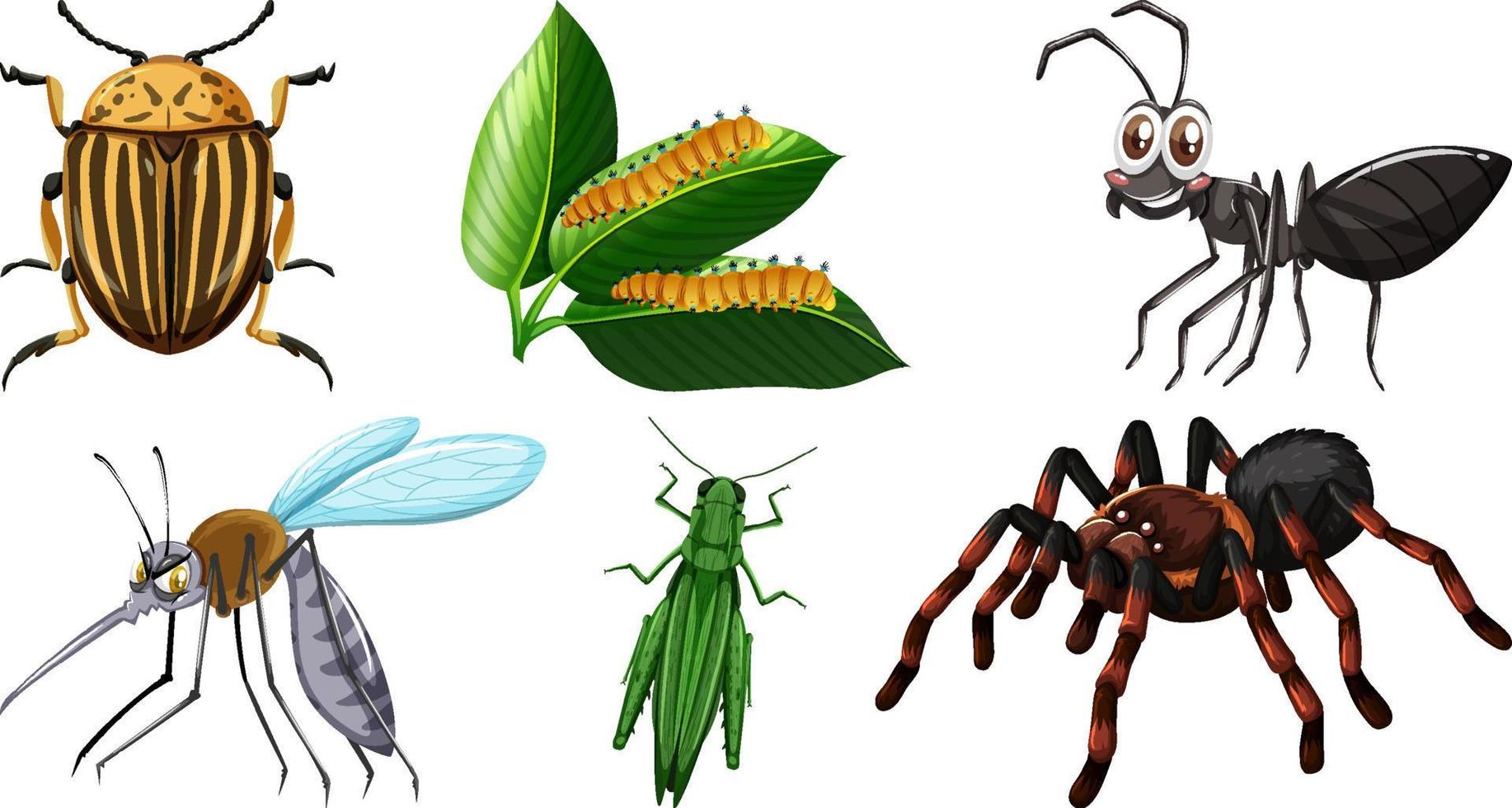 Set of different kinds of insects vector