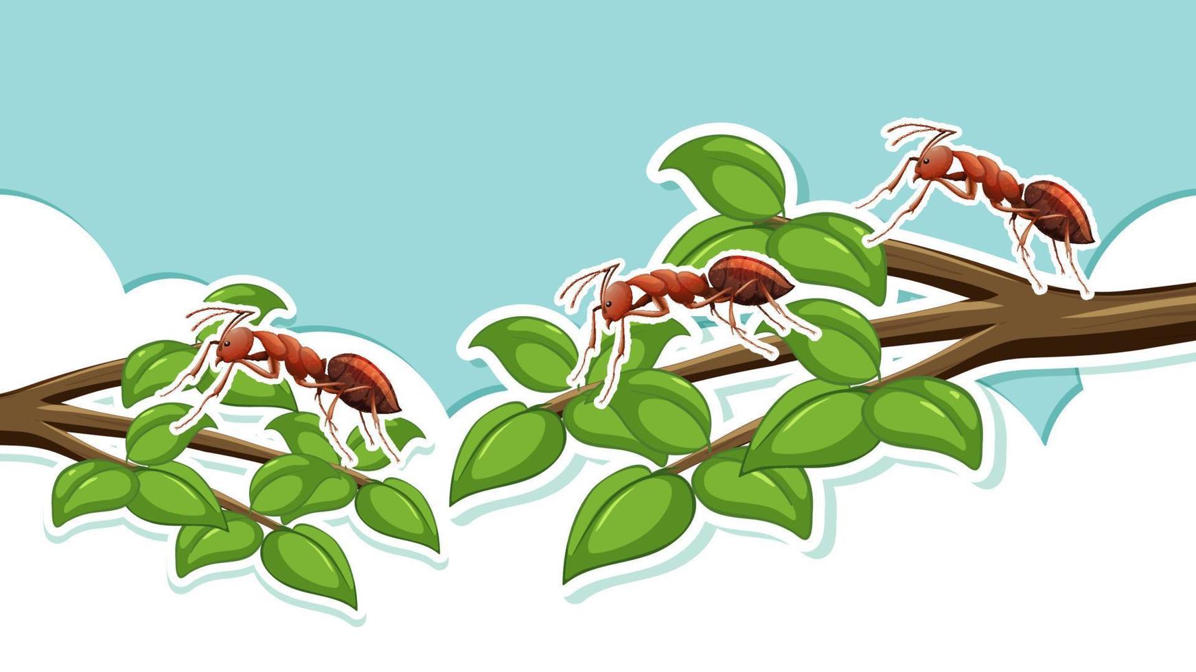 Red ants on tree branches vector