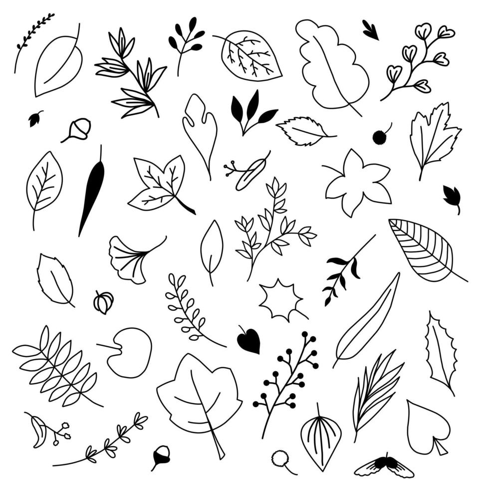 Collection of Sketchy Vintage Branches With Leaves on White Background. Decorative Elements for Decoration vector