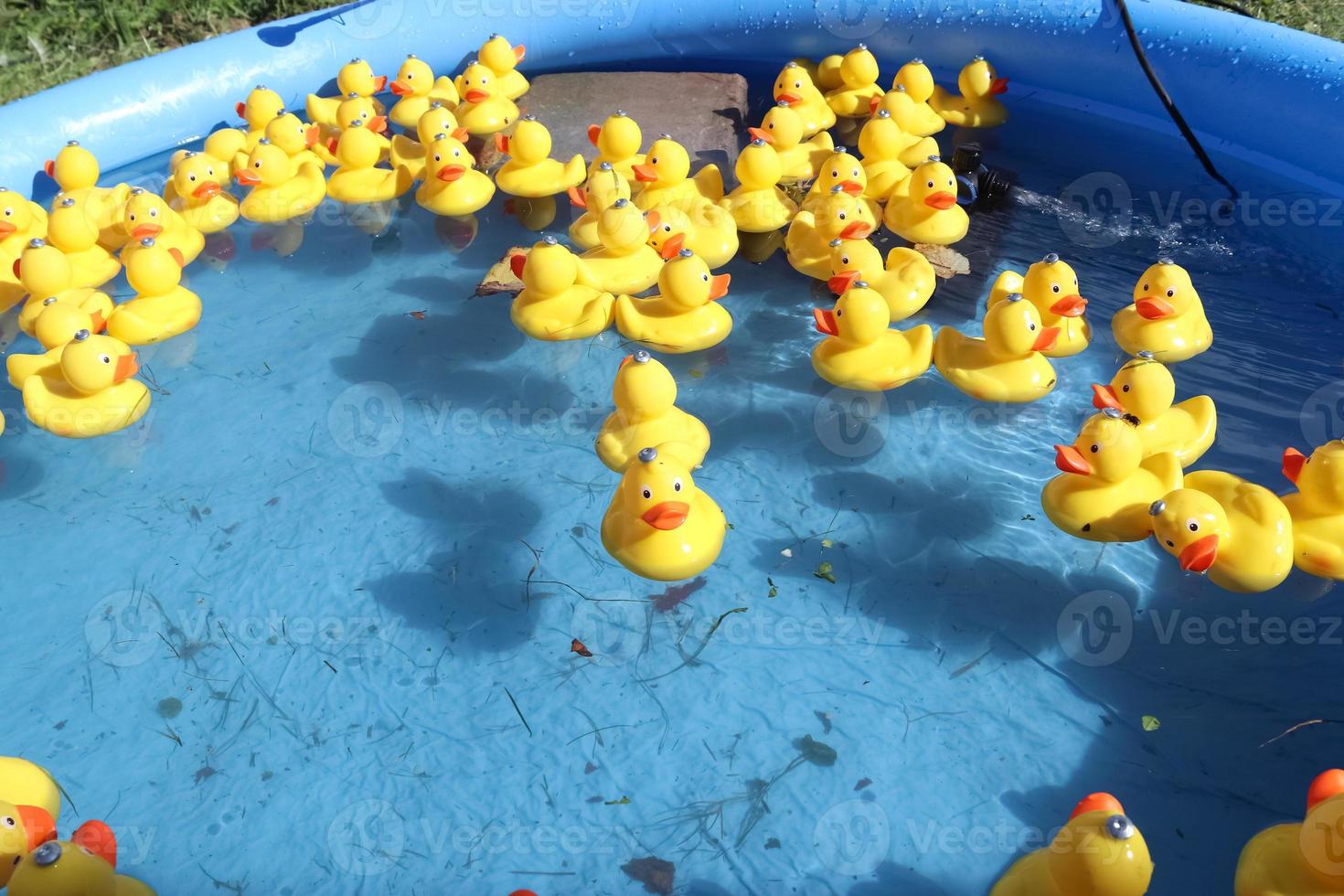 Rubber ducks for sales swimming pools