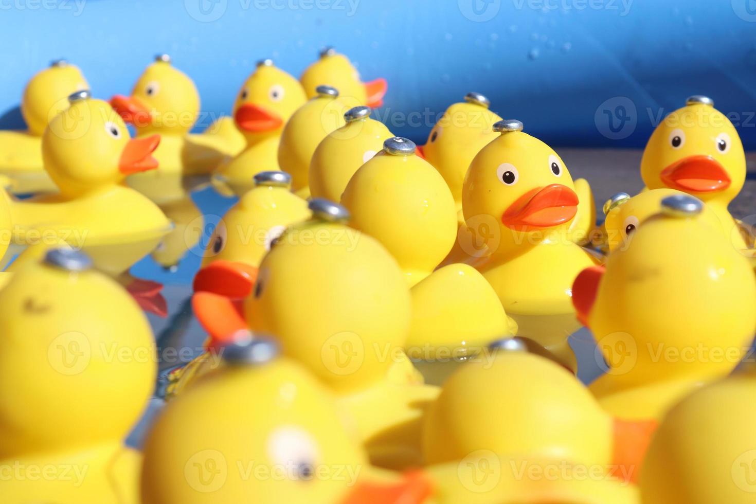 Selective focus. Many yellow rubber ducks swimming in circles in a pool. photo