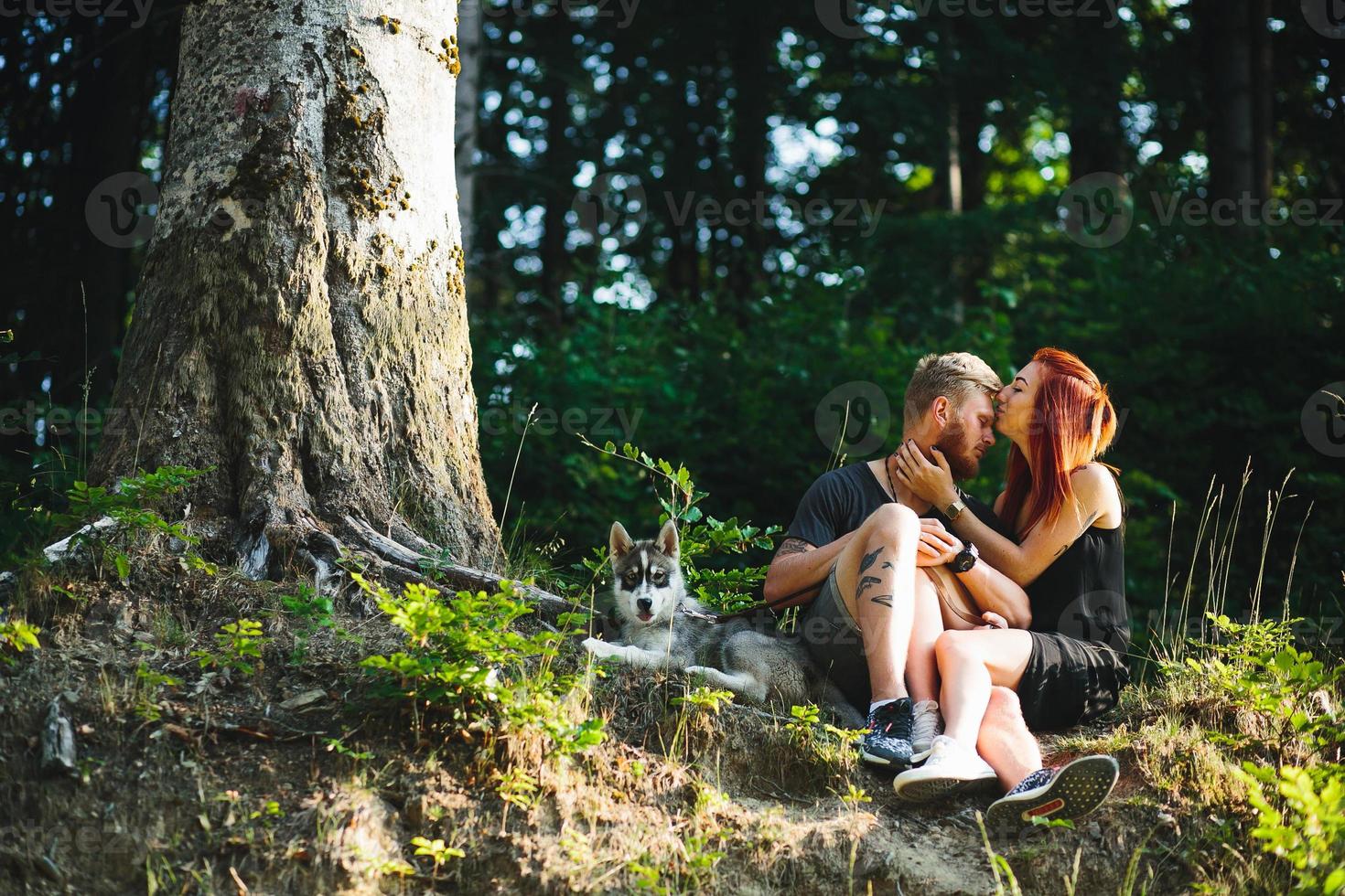 beautiful couple sitting in a forest near the tree photo