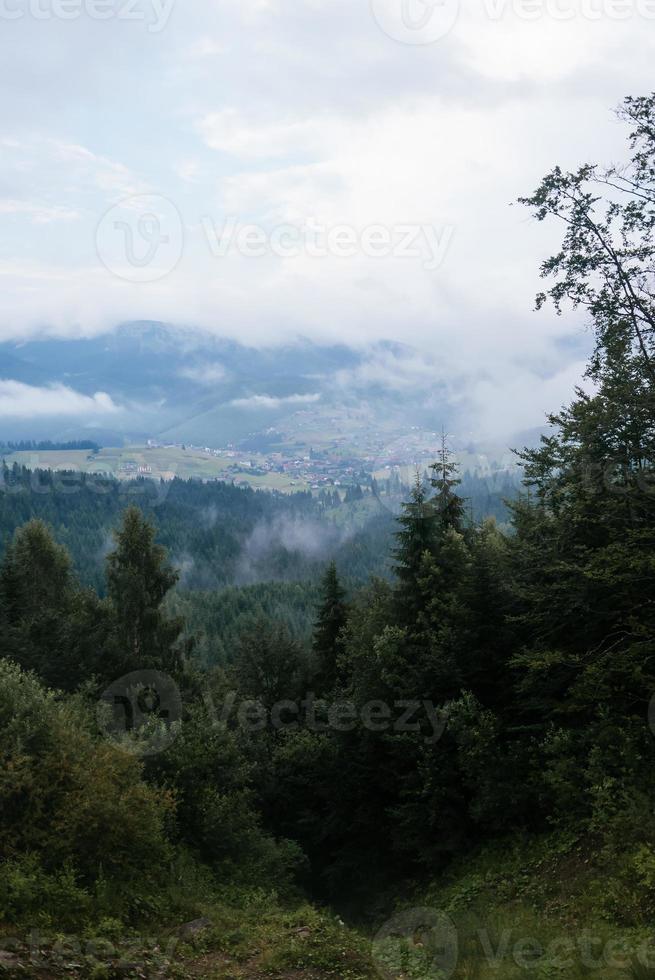 View from hill with forest meadow on town and mist in valley photo