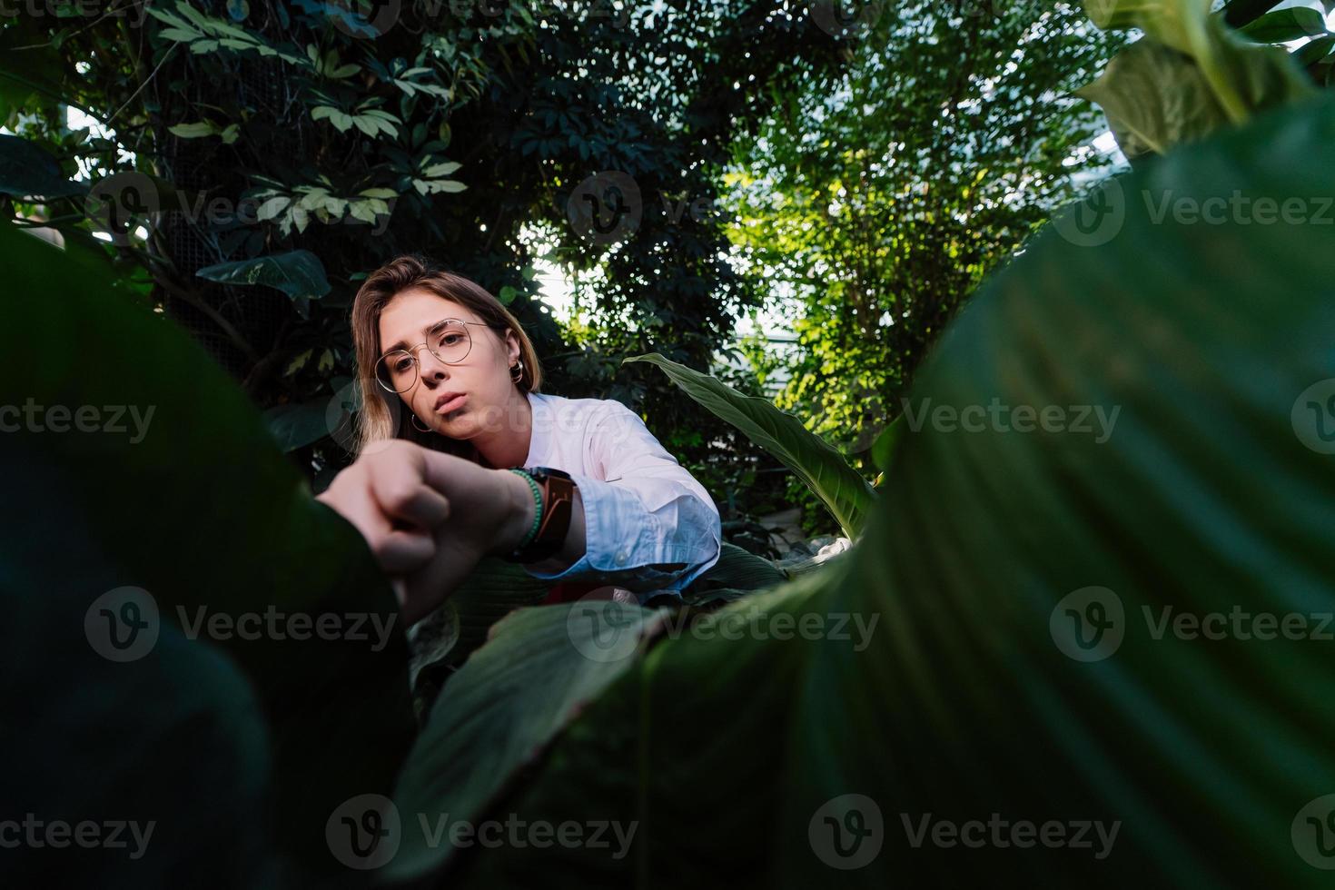 joven ingeniero agrónomo examina hojas en invernadero foto