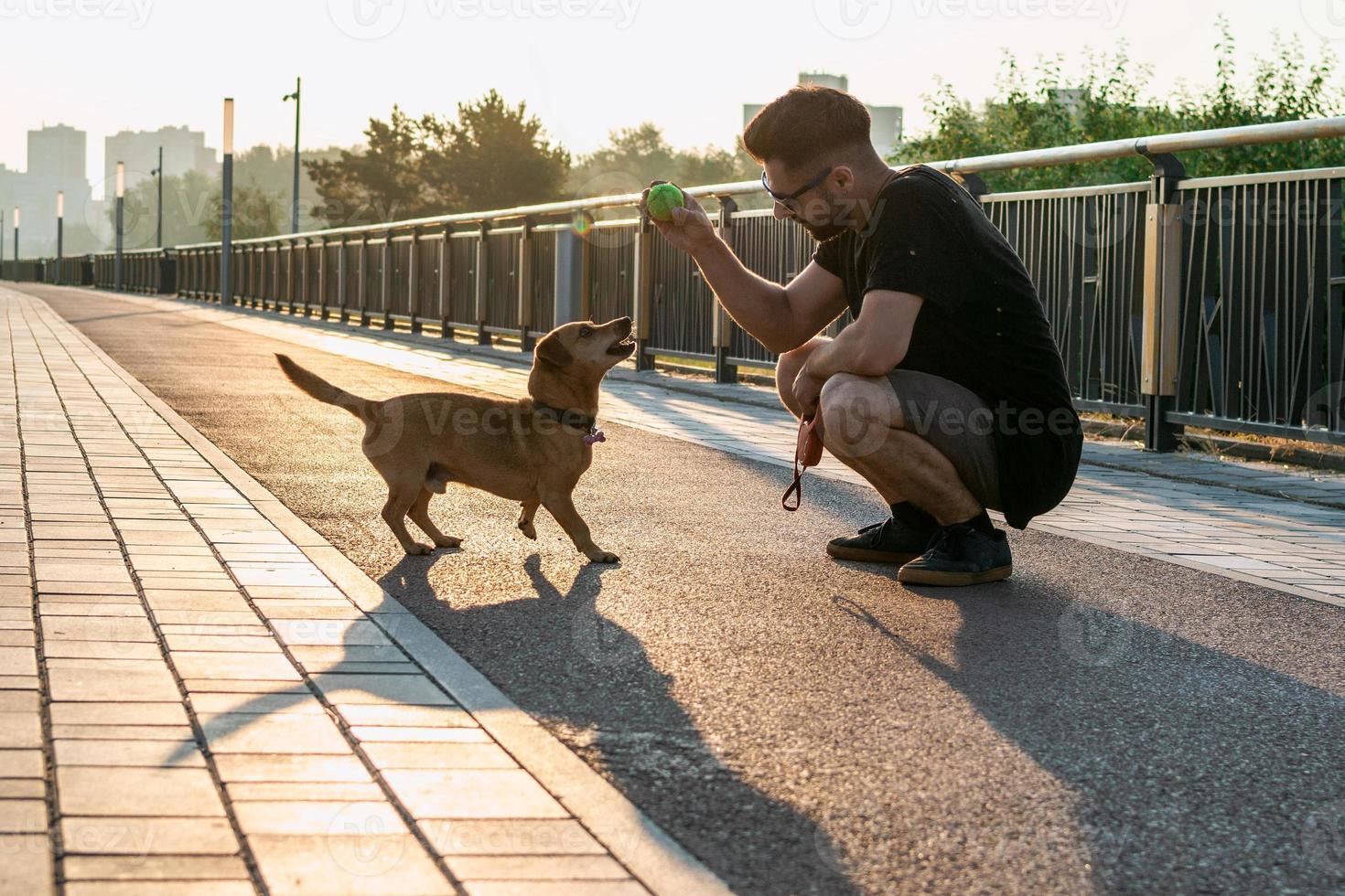 Young man is playing with his dog on empty street in the morning. photo