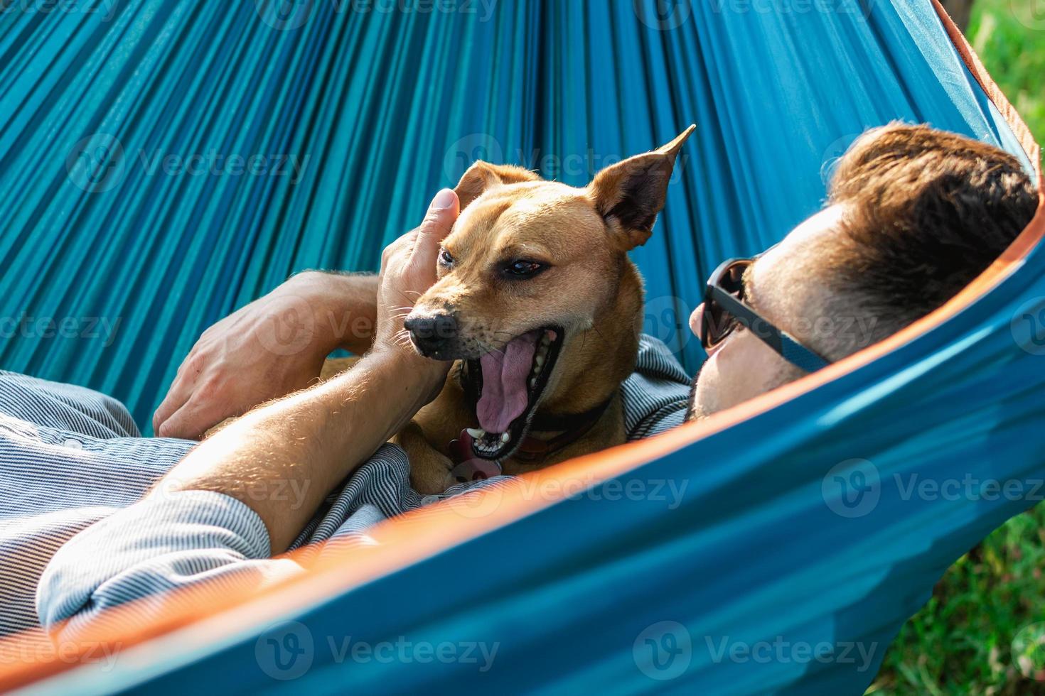 Cute little dog is yawing. Resting of dog with his owner in hammock on sunny summer day. photo