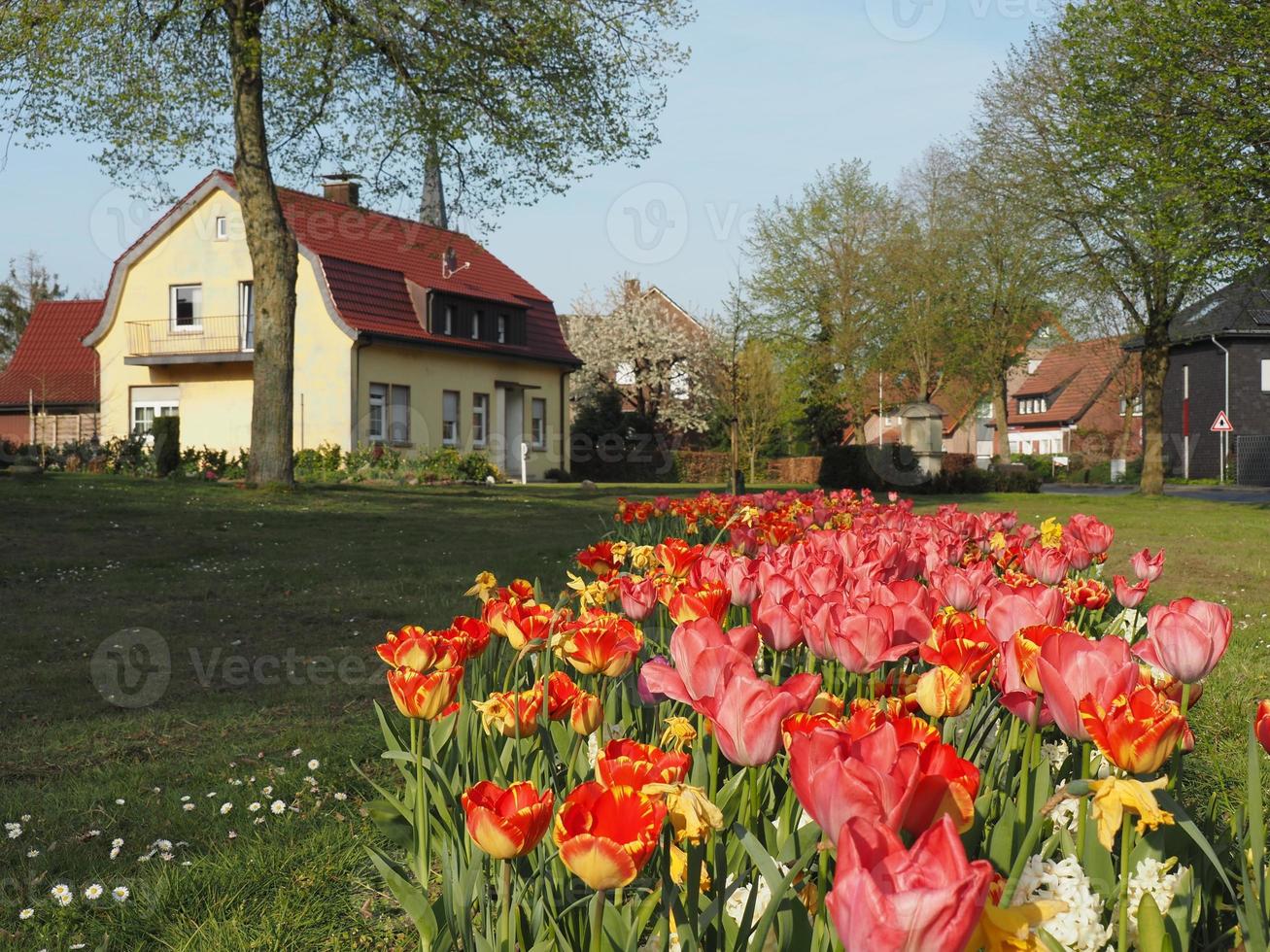 tiempo de primavera en el pueblo alemán weseke foto