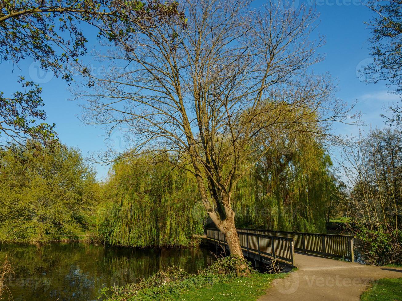 hiking at a lake in westphalia photo