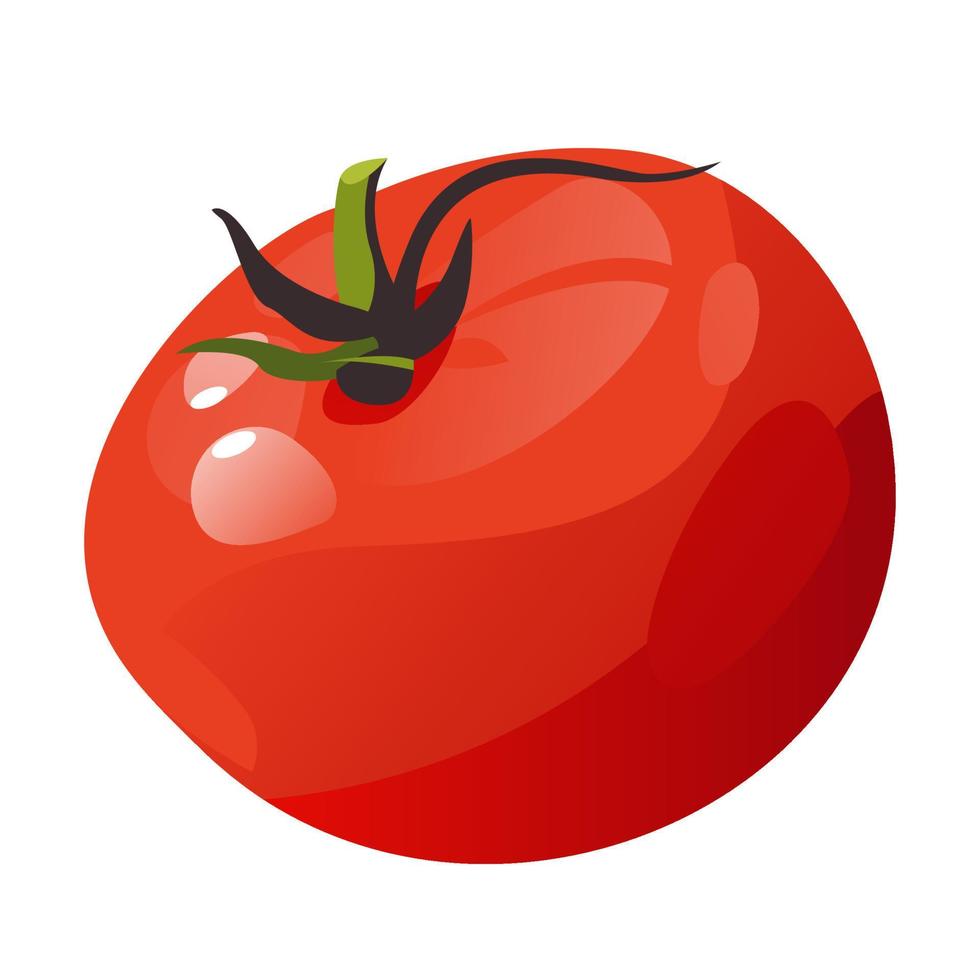 Red tomato isolated on a white background. Fresh whole tomato. vector