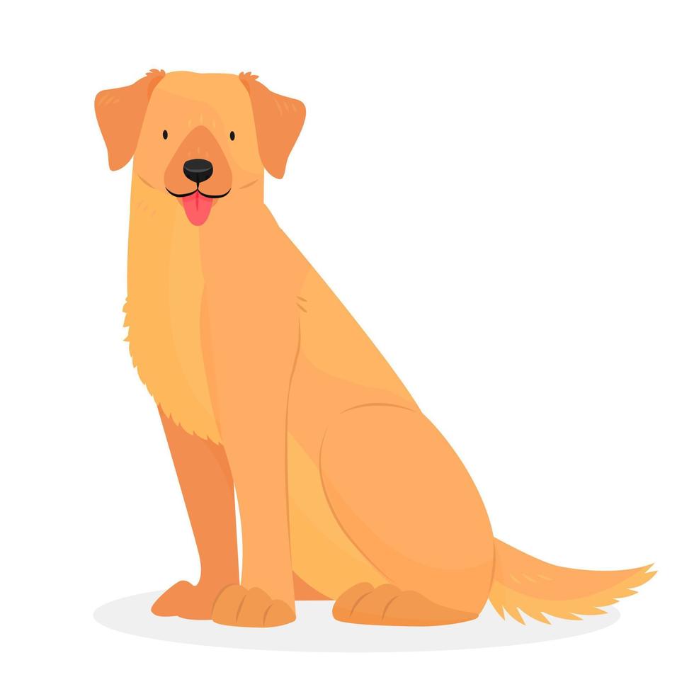 un labrador o un golden retriever con la lengua colgando está sentado. el personaje es un perro aislado en un fondo blanco. ilustración vectorial de animales. vector