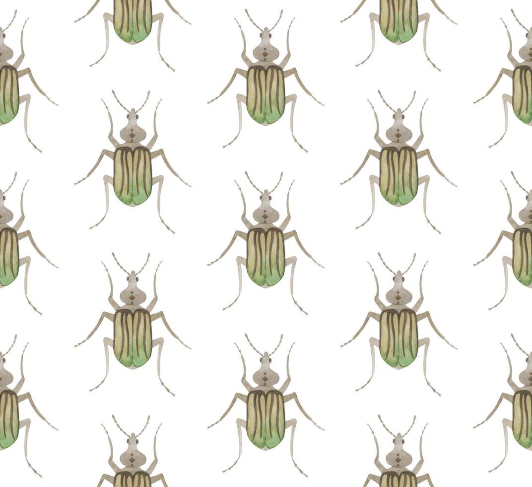 WHITE VECTOR SEAMLESS PATTERN WITH WATERCOLOR  BEETLES