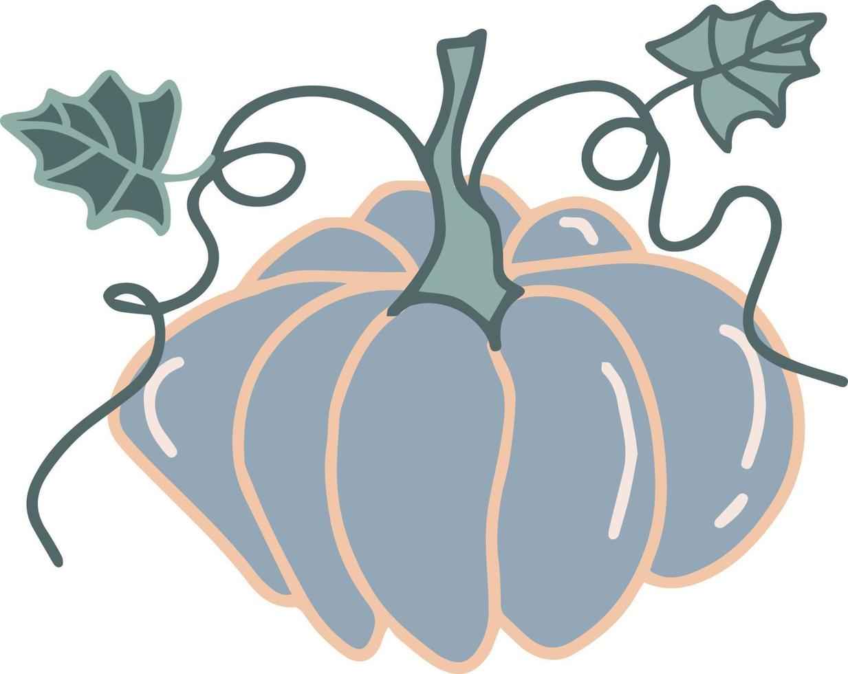 pumpkin vegetable vector hand drawn illustration seasonal autumn harvest