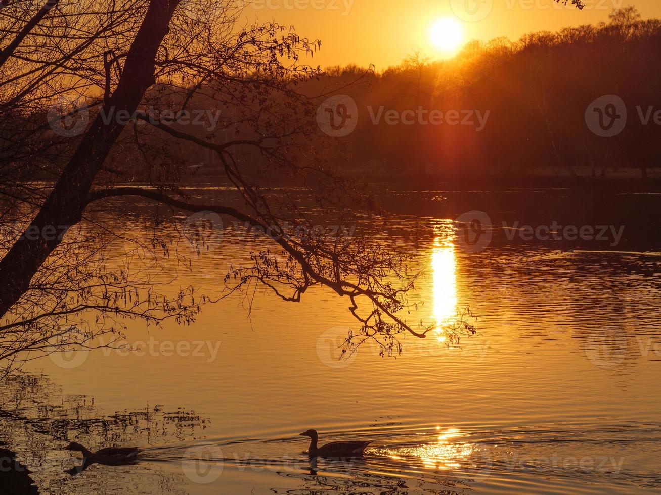 sundown at a german lake photo