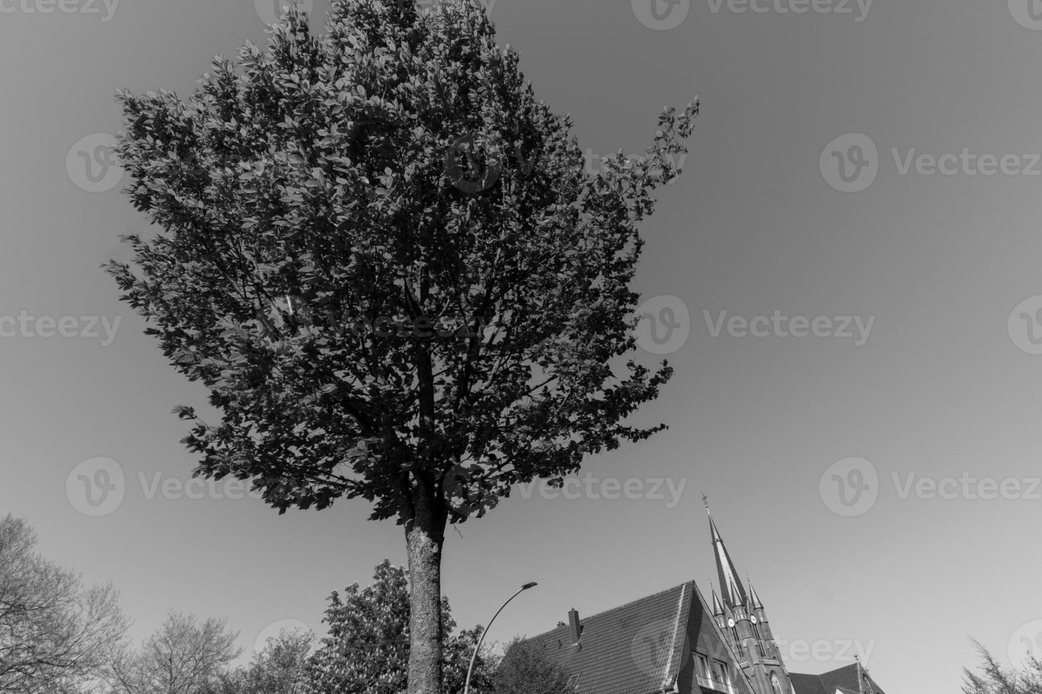westphalia in germany photo