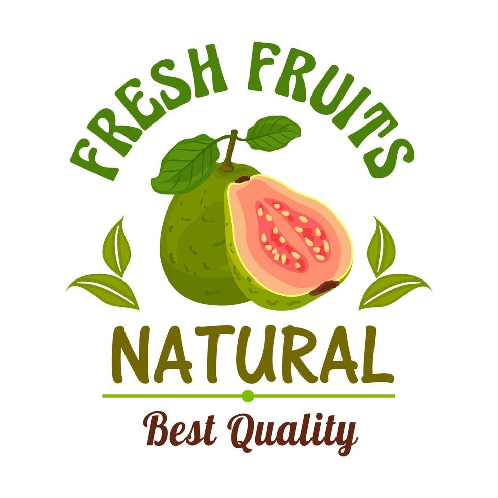 Guava. Fresh natural tropical exotic fruit emblem vector