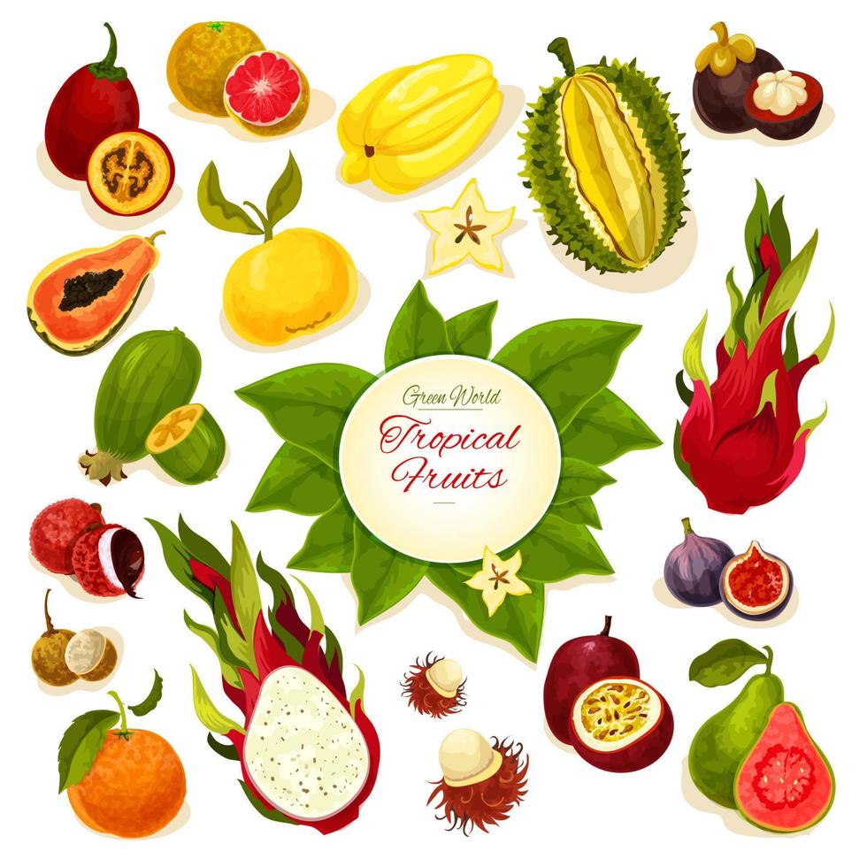 Tropical fresh fruits vector poster