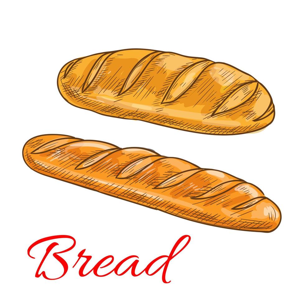 Bread wheat loaf and baguette sketch icons vector