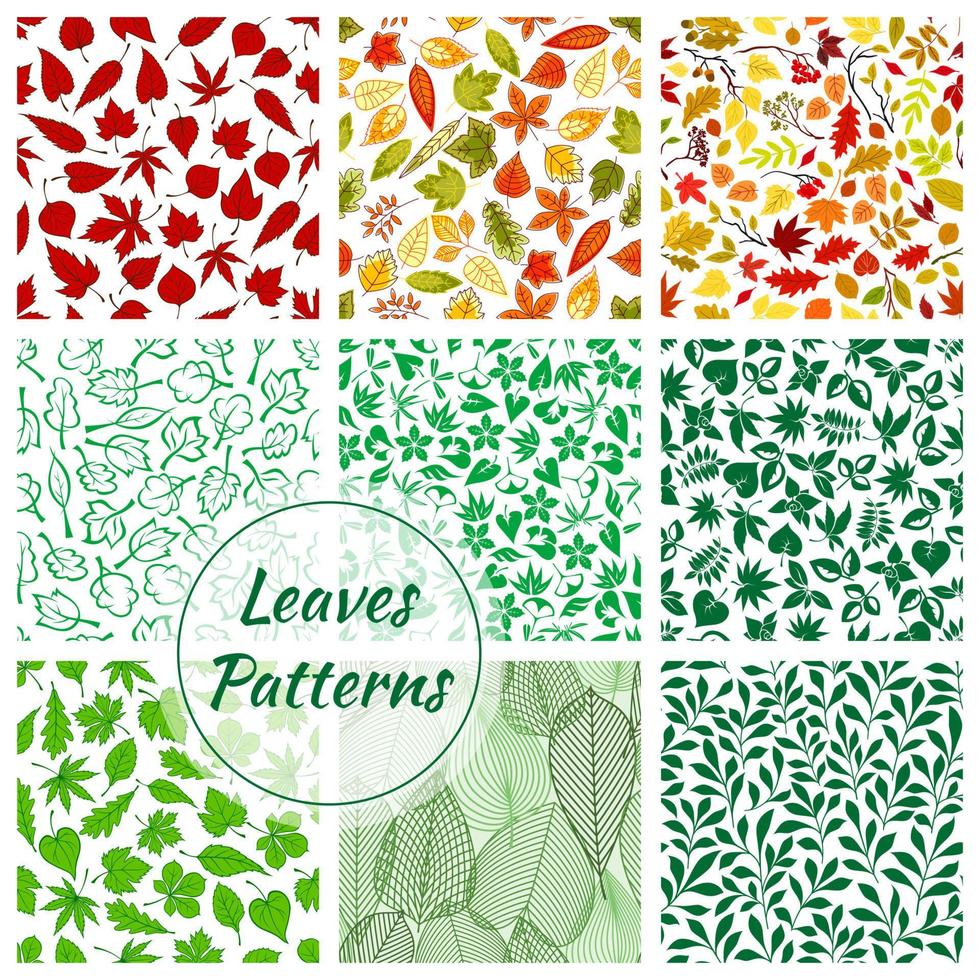 Color leaves seamless patterns set vector