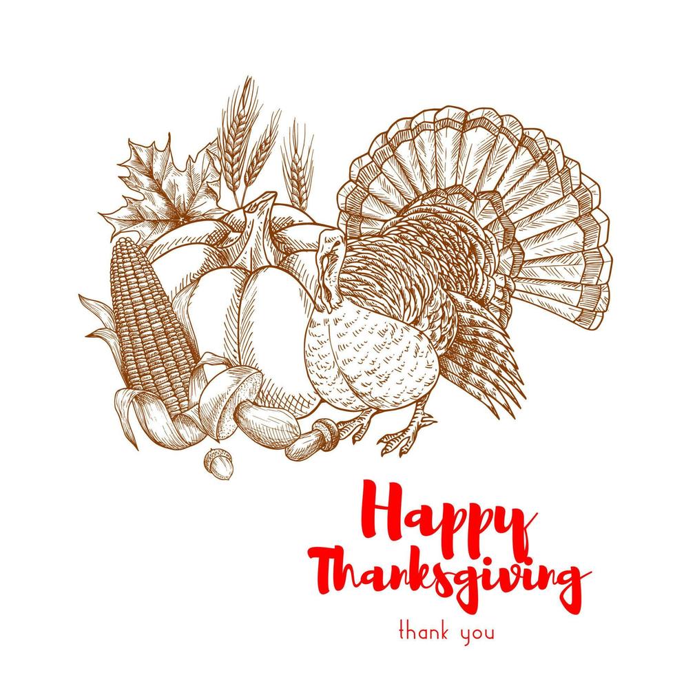 Thanksgiving holiday turkey symbol skech element vector