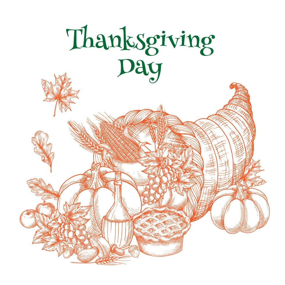 Thanksgiving harvest cornucopia greeting sketch vector