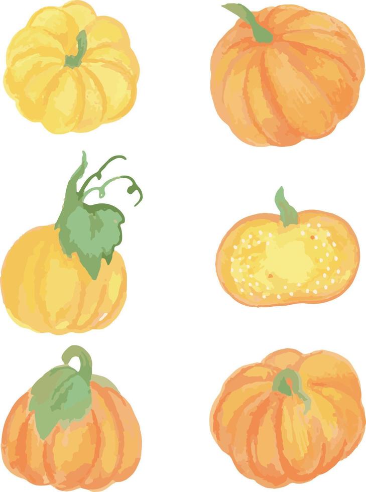 Set with pumpkins in watercolor style, vector illustration of pumpkins