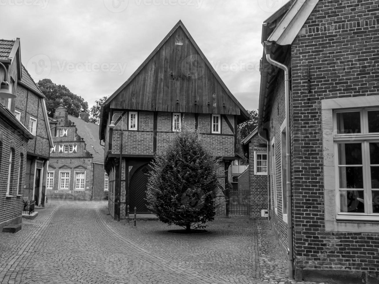 summer time near legden in westphalia photo