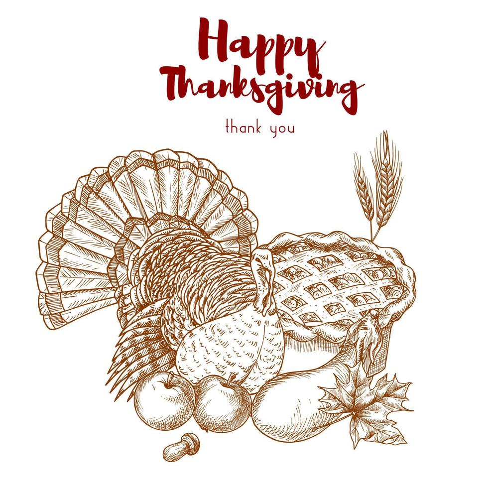 Thanksgiving holiday sketch turkey, pie, harvest vector