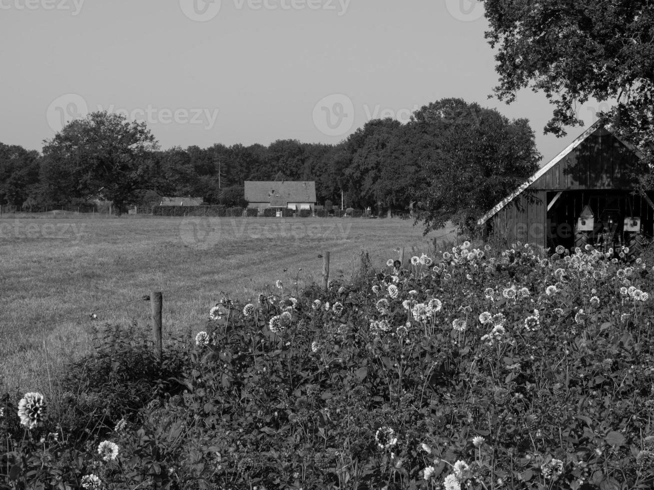 in the german muensterland photo