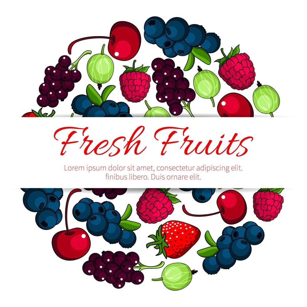 Fresh forest and garden fruits, berries poster vector