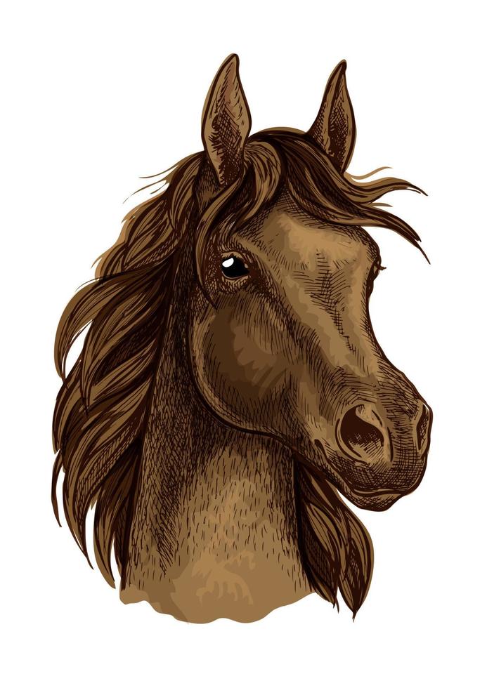 retrato artístico del caballo mustang marrón vector