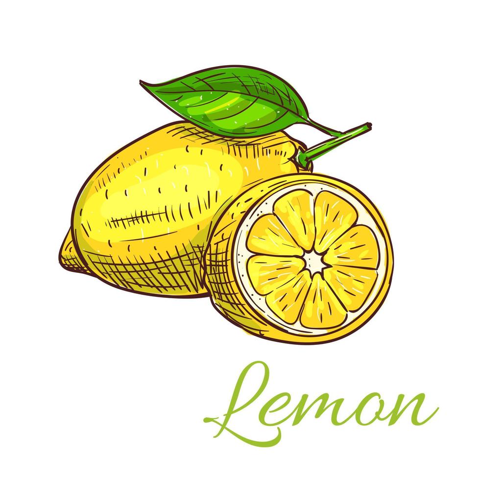 icono de esbozo de vector de fruta de limón