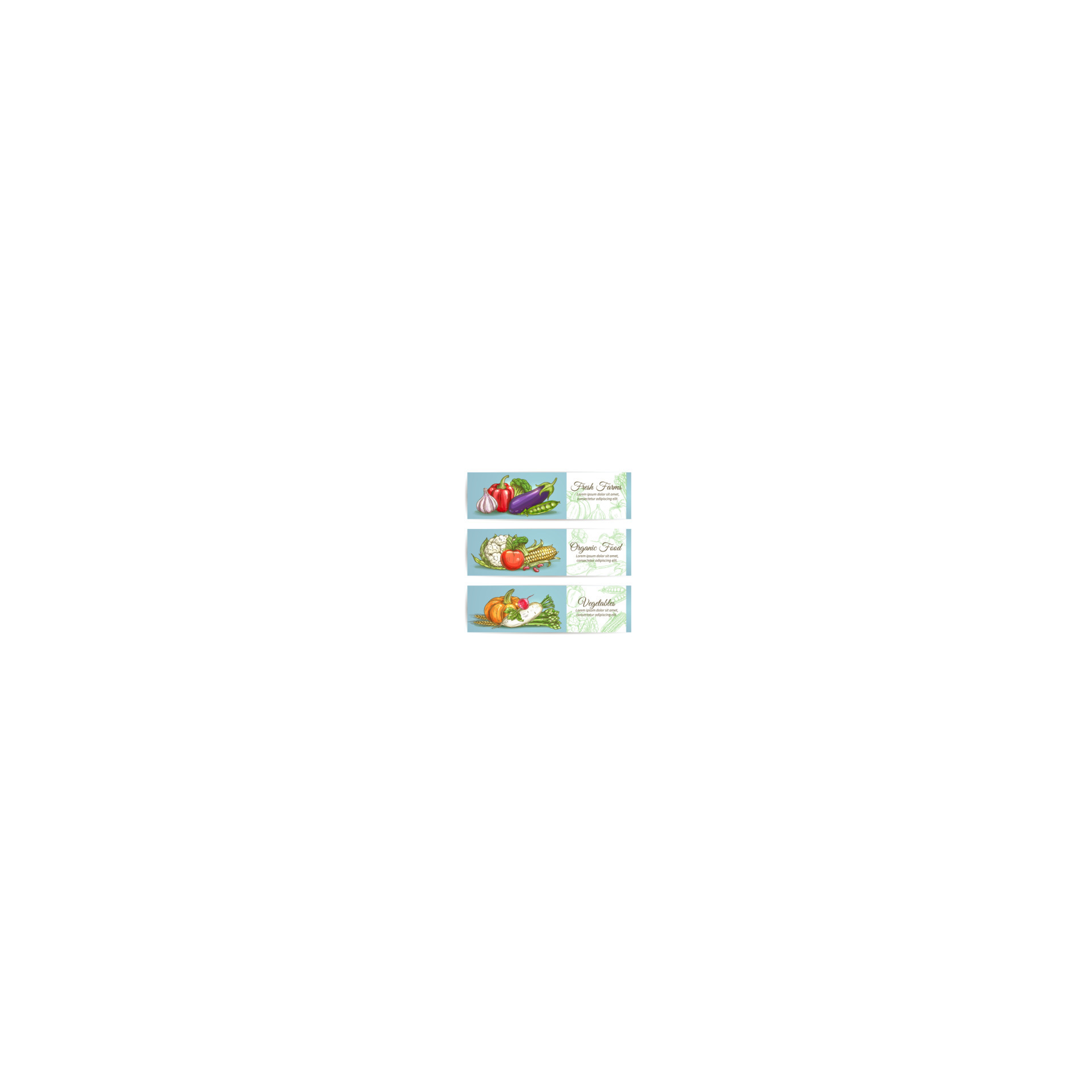 Vegetables banners. Farm fresh organic products 11791039 Vector Art at
