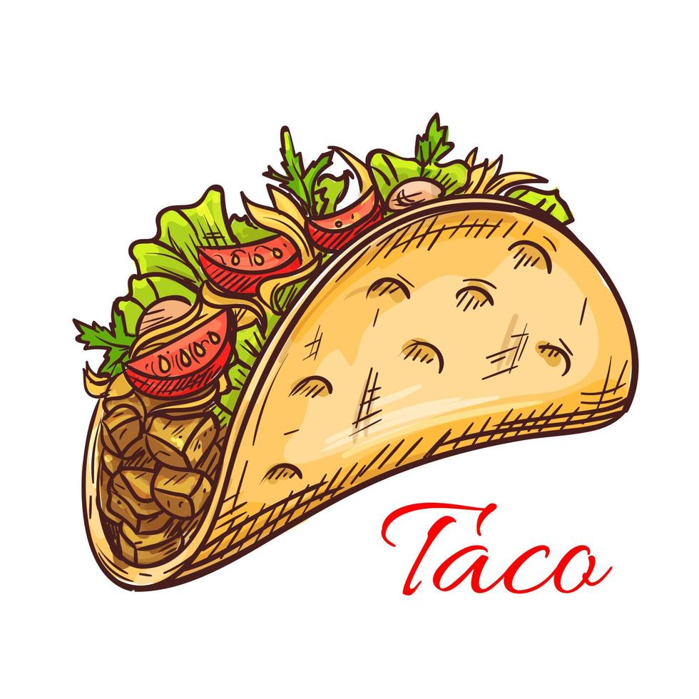 taco de ternera mexicana con boceto de verduras frescas vector