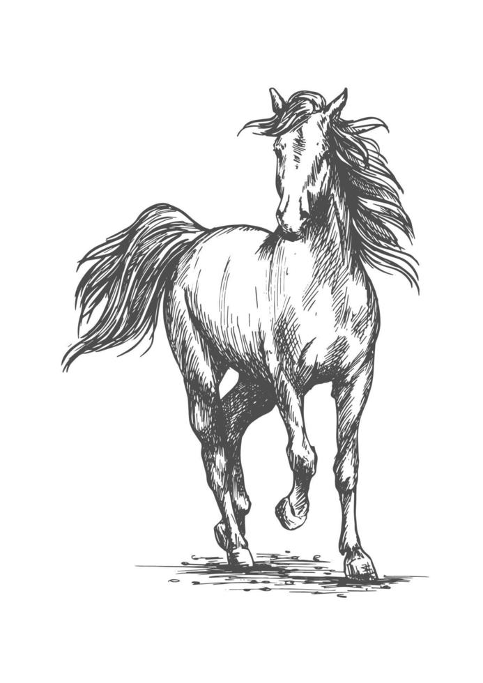 White horse freely running portrait vector