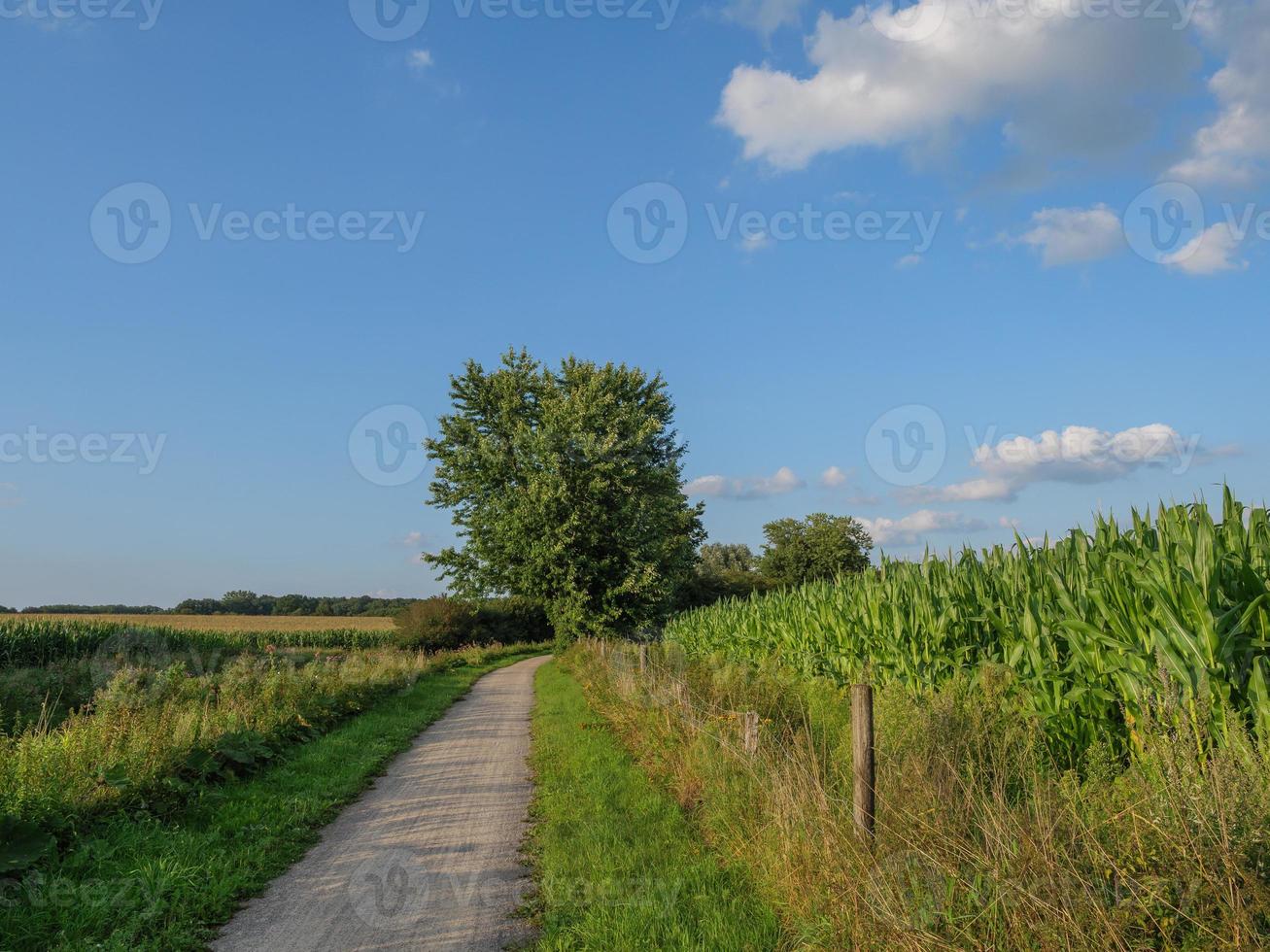 small river in westphalia photo