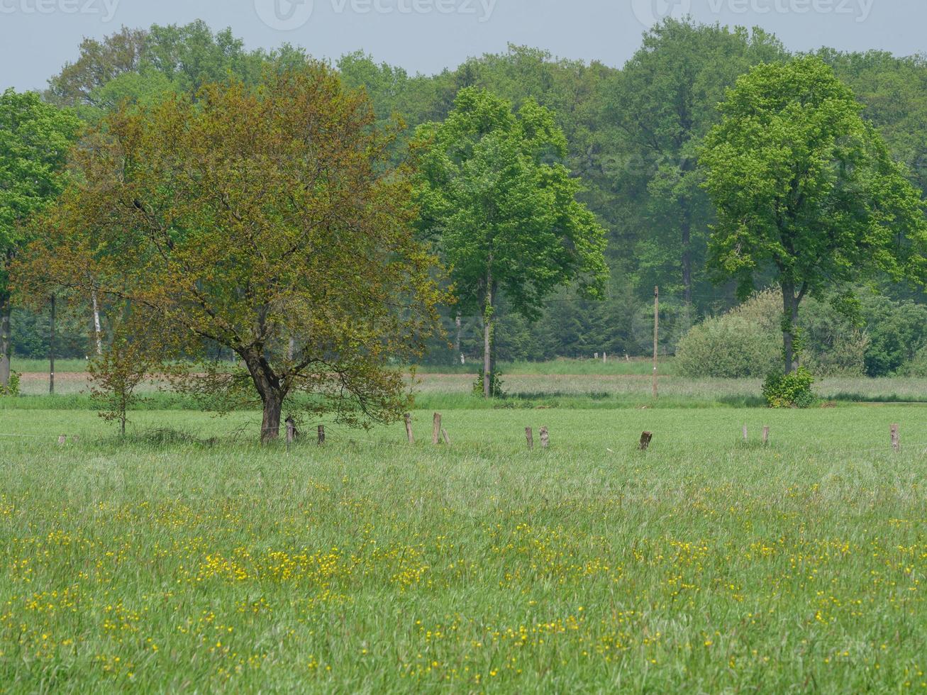 hiking in westphalia near duelmen photo