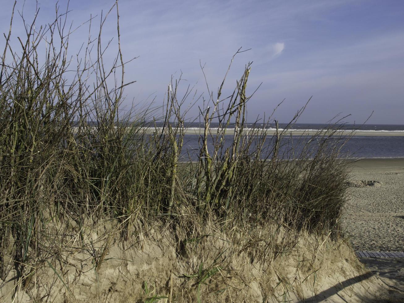 langeoog island in the north sea photo