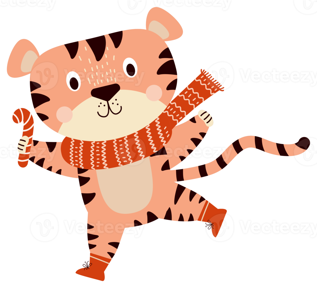 Winter tiger. Tiger character in a knitted scarf with caramel png