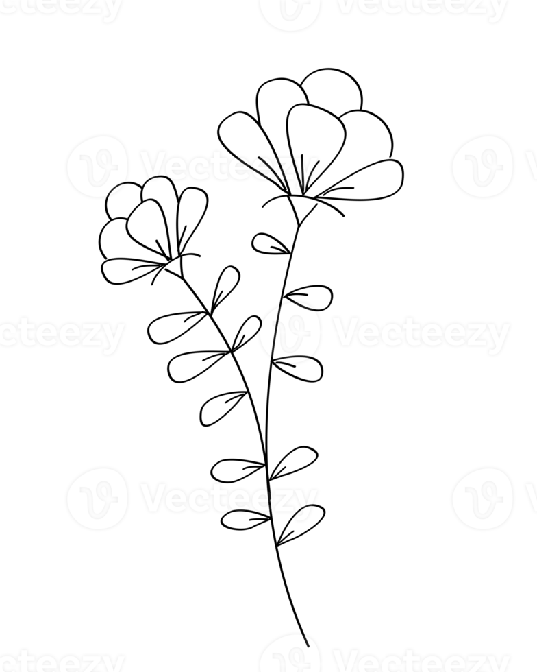 Umrissblume mit schwarzer dünner Linie, florales Gestaltungselement, dekorative Linie Kunstillustration. png