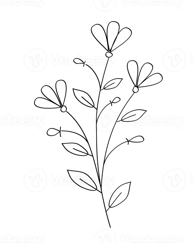 översikt blomma med svart tunn linje, blommig design element, dekorativ linje konst illustration. png