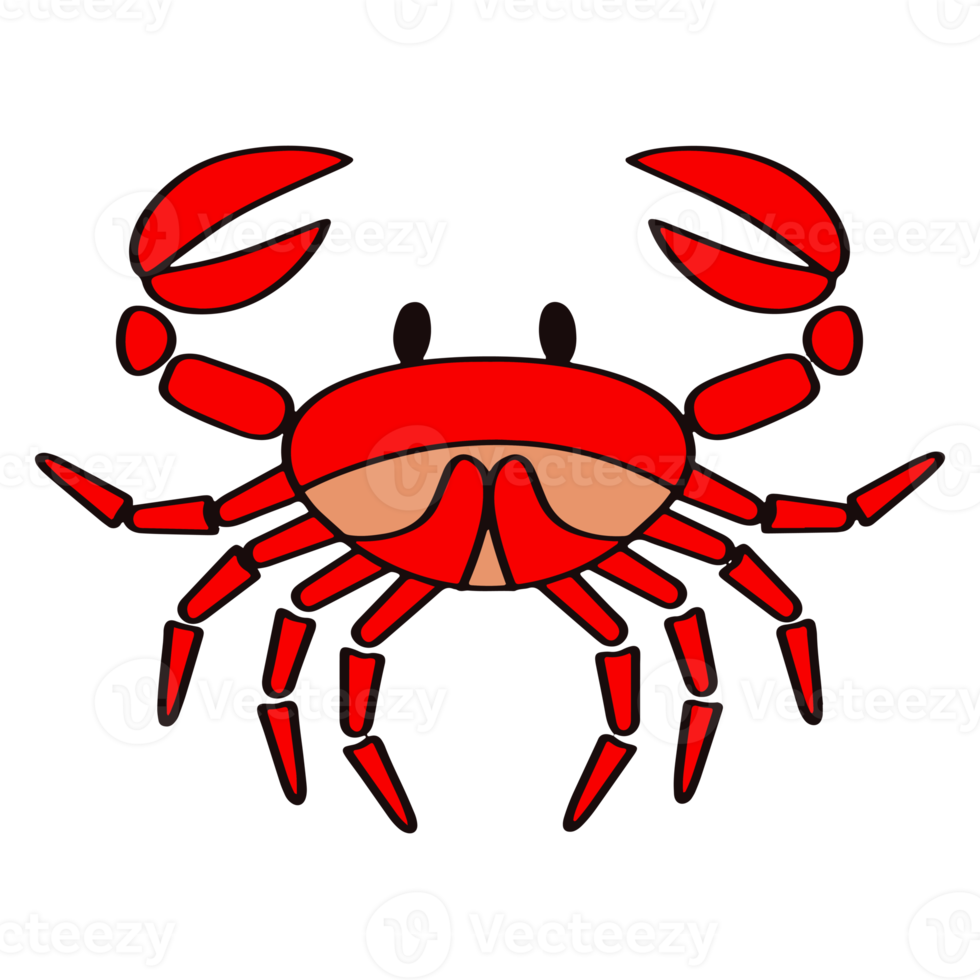 Red crab illustration. PNG with transparent background.