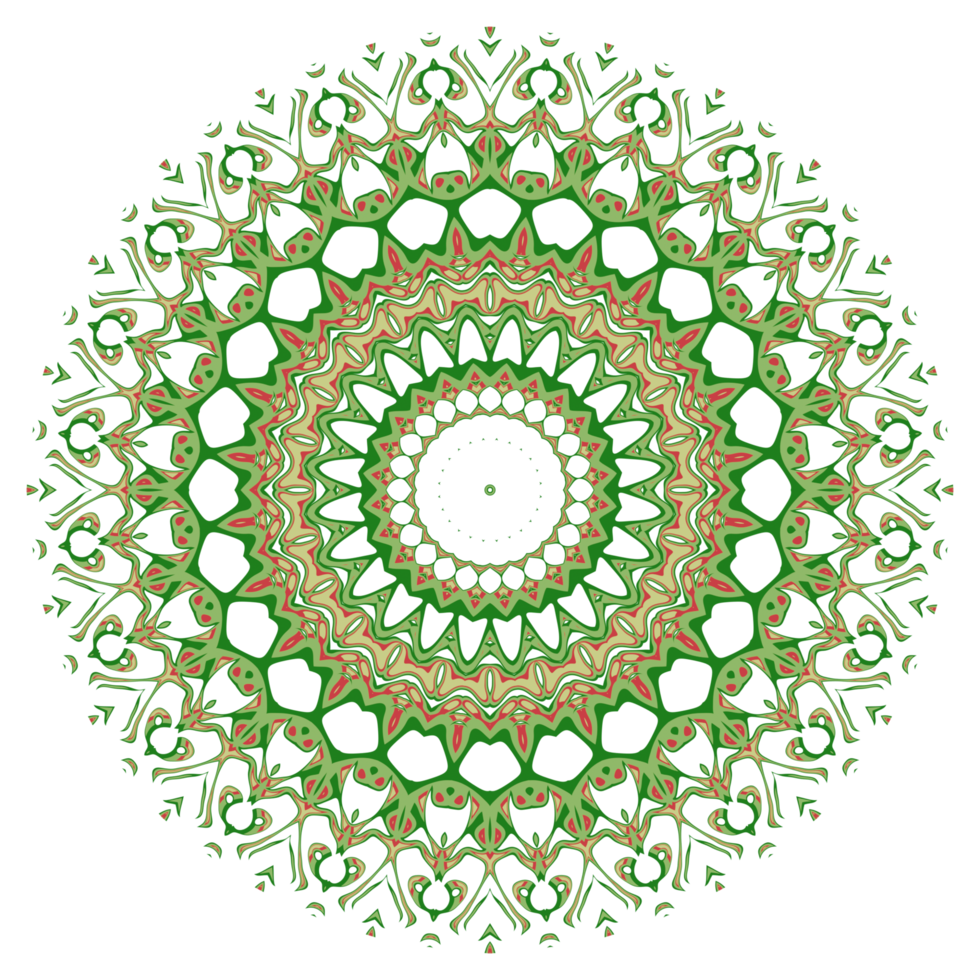 ilustração de mandala de flores png