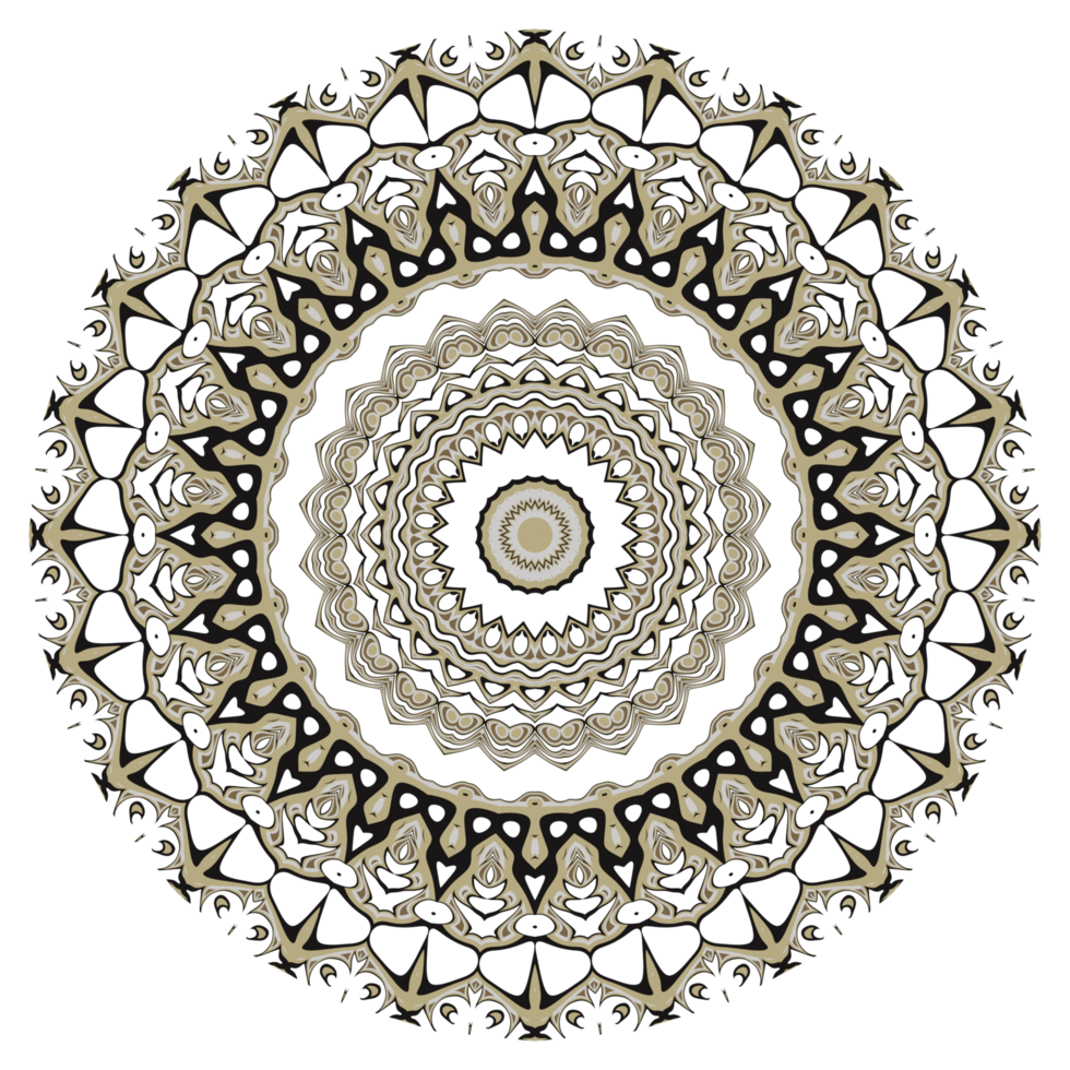 ilustración de círculo de mandala png