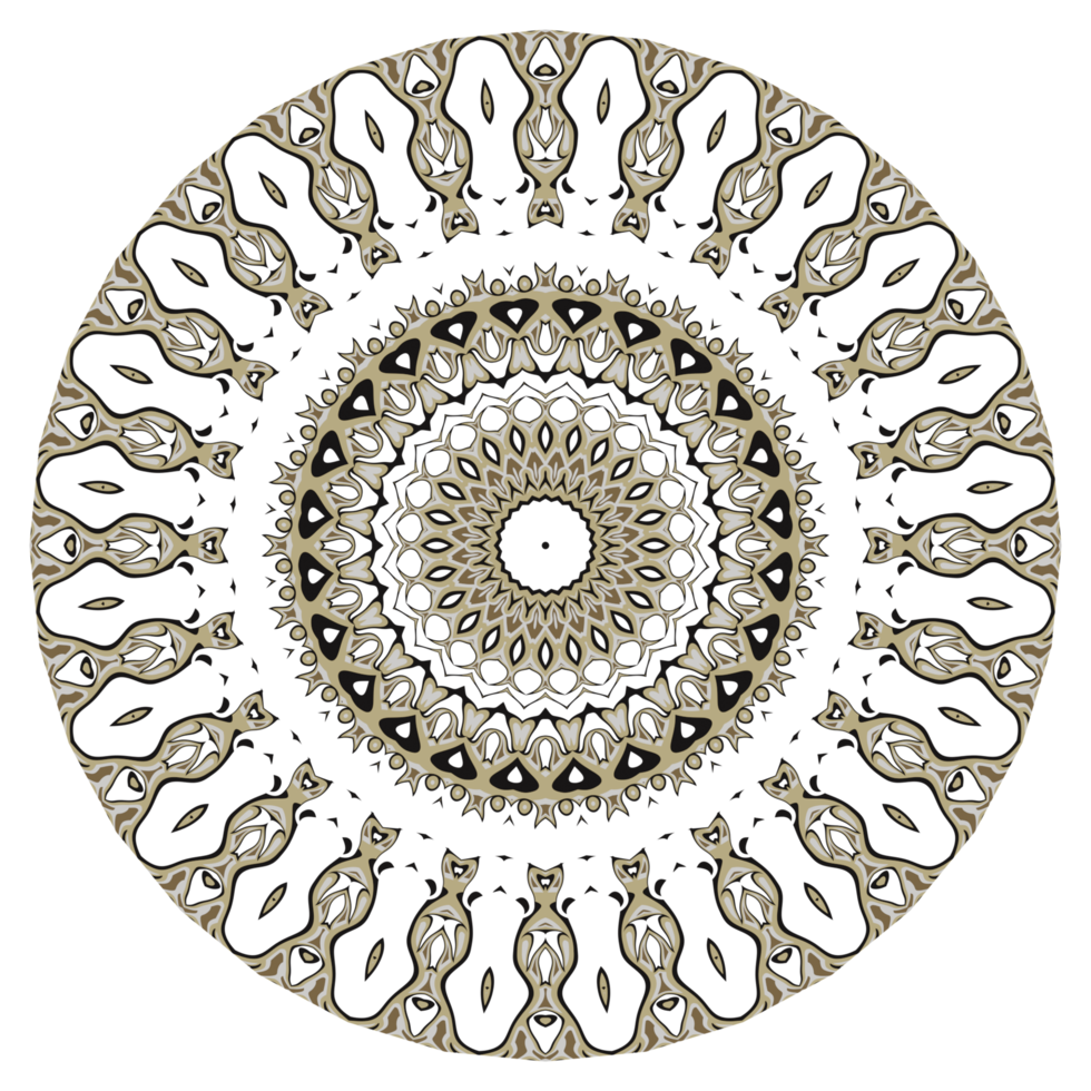 ilustración de círculo de mandala png